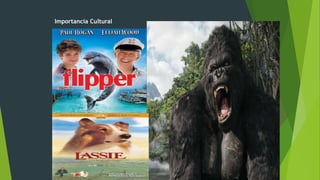 Importancia Cultural
 