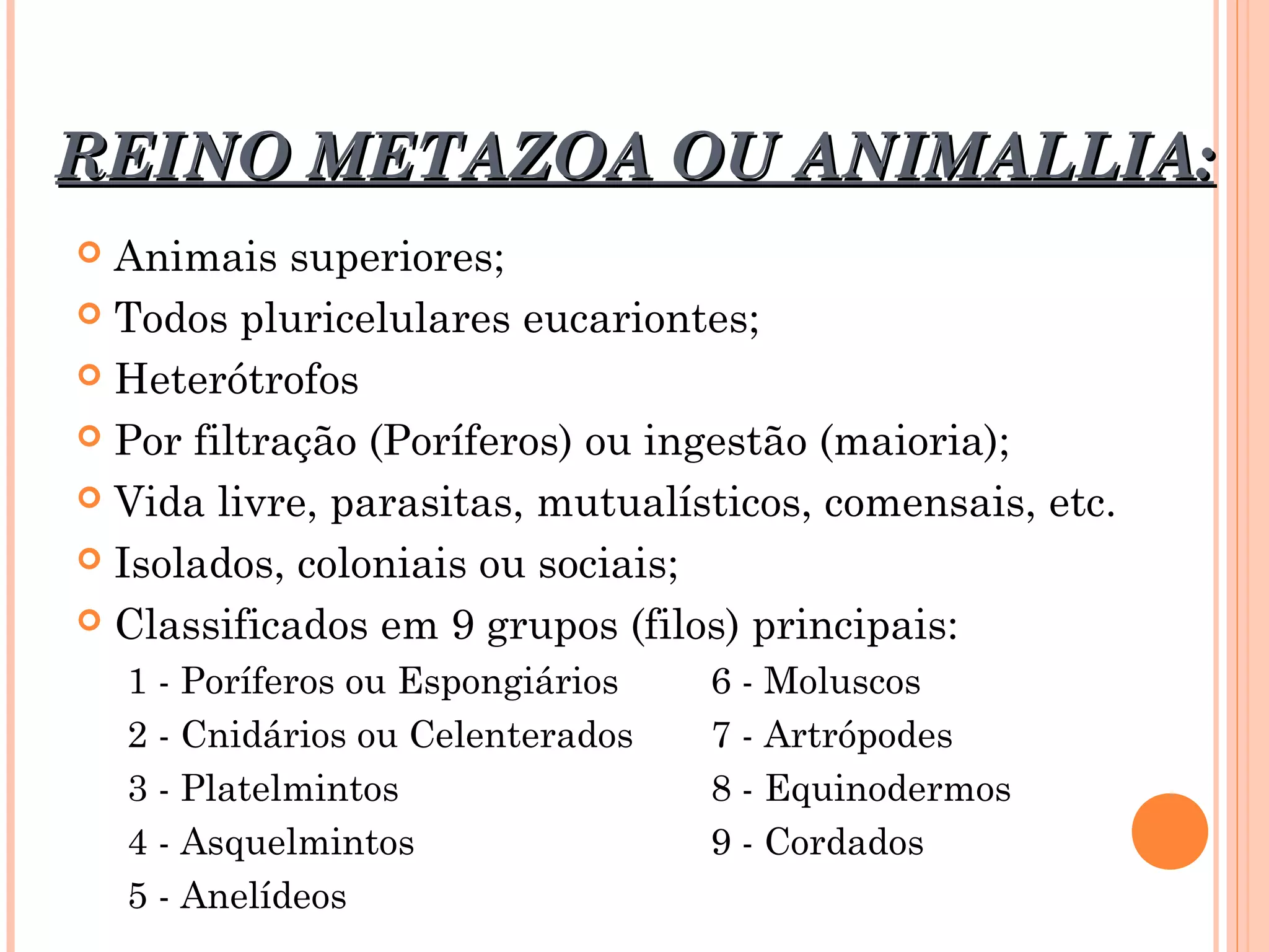Zoologia o estudo dos animais | PPT