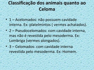 Classificação dos animais quanto ao
                Celoma
• 1 – Acelomados: não possuem cavidade
  interna. Ex: platelmintos ( vermes achatados).
• 2 – Pseudocelomados: com cavidade interna,
  mas não é revestida pelo mesoderma. Ex:
  Lombriga (vermes alongados).
• 3 – Celomados: com cavidade interna
  revestida pelo mesoderma. Ex: Homem.
 