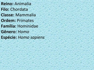 Reino: Animalia
Filo: Chordata
Classe: Mammalia
Ordem: Primates
Família: Hominidae
Gênero: Homo
Espécie: Homo sapiens
 
