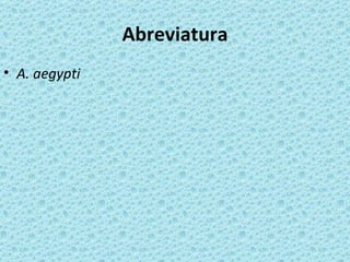 Abreviatura
• A. aegypti
 