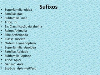 •   Superfamília: oidea
                             Sufixos
•   Família: idae
•   Subfamília: inae
•   Tribo: ini
•   Ex: Classificação da abelha
•   Reino: Animalia
•   Filo: Arthropoda
•   Classe: Insecta
•   Ordem: Hymenoptera
•   Superfamília: Apoidea
•   Família: Apidade
•   Subfamília: Apinae
•   Tribo: Apini
•   Gênero: Apis
•   Espécie: Apis mellifera
 