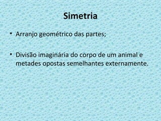 Simetria
• Arranjo geométrico das partes;

• Divisão imaginária do corpo de um animal e
  metades opostas semelhantes externamente.
 