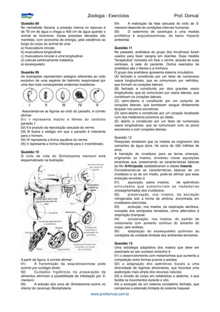 Questão 08
No nematóide Ascaris, a pressão interna no repouso é
de 70 cm de água e chega a 400 cm de água quando o
animal se locomove. Essas pressões elevadas são
mantidas, com economia de energia, pela existência ao
longo do corpo do animal de uma
a) musculatura circular.
b) musculatura longitudinal.
c) musculatura circular e uma longitudinal.
d) cuticula extremamente inelástica.
e) exoesqueleto.
Questão 09
As ilustrações representam estágios referentes ao ciclo
evolutivo de uma espécie de helminto responsável por
uma das mais conseqüentes endemias brasileiras.
Associando-se as ﬁguras ao ciclo do parasito, é correto
aﬁrmar:
01) I representa macho e fêmea do cestódio
parasito.
I
02) Il é produto da reprodução sexuada do verme.
03) lIl ilustra o estágio em que o parasito é intectante
para o homem.
04) IV representa a forma aquática do verme.
05) V representa a forma infectante para o invertebrado.
Questão 10
O ciclo de vida do Schistosoma mansoni está
esquematizado na ilustração.
A partir da ﬁgura, é correto aﬁrmar:
01)
 A transmissão da esquistossomose pode
ocorrer por contágio direto.
02)
 Cuidados higiênicos na preparação de
alimentos eliminam a possibilidade de infestação por S.
mansoni.
03)
 A eclosão dos ovos de Schistosoma ocorre no
interior do caramujo Biomphalaria.
04)
 A realização da fase sexuada do ciclo de S.
mansoni depende de condições internas humanas.
05)
 O extermínio de caramujos é uma medida
proﬁlática à esquistossomose, de baixo impacto
ambiental.
Questão 11
No passado, anelídeos do grupo dos hirudíneos foram
usados para fazer sangria em doentes. Essa medida
"terapêutica” consistia em ﬁxar o verme, através de suas
ventosas, à pele do paciente. Outros exemplos de
anelídeos são o Nereis e a minhoca.
O grupo dos anelídeos apresenta sistema circulatório:
(A) fechado e constituído por um feixe de numerosos
vasos longitudinais, que se comunicam por nefrídios,
que formam os corações laterais.
(B) fechado e constituído por dois grandes vasos
longitudinais, que se comunicam por vasos laterais, que
constituem os corações laterais.
(C) semi-aberto e constituído por um conjunto de
corações laterais, que bombeiam sangue diretamente
lançado nos poros excretores.
(D) semi-aberto e constituído por um coração localizado
num dos metâmeros próximos ao clitelo.
(E) aberto e constituído por um feixe de numerosos
vasos longitudinais, que se comunicam com os poros
excretores e com corações laterais.
Questão 12
Pesquisas revelaram que os insetos se originaram dos
camarões de água doce, há cerca de 430 milhões de
anos.
A transição do crustáceo para as terras emersas,
originando os insetos, envolveu novas aquisições
evolutivas que, preservando as características básicas
do ﬁlo Arthropoda, estabeleceram a classe Insecta.
Considerando-se as características básicas de um
crustáceo e as de um inseto, pode-se aﬁrmar que essa
evolução envolveu a
01)
 aquisição, pelos insetos, de apêndices
articulados que substituíram as nadadeiras
unissegmentadas dos crustáceos.
02)
 preservação, nos insetos, da excreção
nitrogenada sob a forma de amônia, encontrada em
crustáceos dulcícolas.
03)
 evolução, nos insetos, da respiração aeróbica,
inovação dos artrópodos terrestres, como alternativa à
respiração branquial.
04)
 conservação, nos insetos, do padrão de
crescimento com aumento contínuo do tamanho do
corpo, sem ecdises.
05)
 adaptação do exoesqueleto quitinoso às
condições de umidade limitada dos ambientes terrestres.
Questão 13
Uma estratégia adaptativa dos insetos que deve ser
associada ao seu sucesso evolutivo é
01) o desenvolvimento com metamorfose que aumenta a
competição entre formas juvenis e adultas.
02) a adaptação dos apêndices bucais a uma
diversidade de regimes alimentares, que favorece uma
exploração mais ampla dos recursos naturais.
03) a divisão do corpo em cefalotórax e abdome, o que
facilita os movimentos durante o vôo.
04) a evolução de um sistema circulatório fechado, que
compensa a extensão limitada do sistema traqueal.

 
 
 
 
 Zoologia - Exercícios
 
 Prof. Dorival
www.profdorival.com.br
 