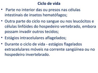 Ciclo de vida
•    Parte no interior das ou presos nas células
    intestinais de insetos hematófagos;
•   Outra parte do ciclo no sangue ou nos leucócitos e
    células linfóides do hospedeiro vertebrado, embora
    possam invadir outros tecidos;
•   Estágios intracelulares aflagelados;
•   Durante o ciclo de vida - estágios flagelados
    extracelulares móveis na corrente sangüínea ou no
    hospedeiro invertebrado.
 