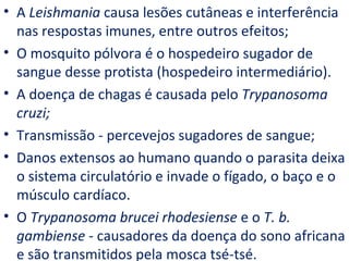 • A Leishmania causa lesões cutâneas e interferência
  nas respostas imunes, entre outros efeitos;
• O mosquito pólvora é o hospedeiro sugador de
  sangue desse protista (hospedeiro intermediário).
• A doença de chagas é causada pelo Trypanosoma
  cruzi;
• Transmissão - percevejos sugadores de sangue;
• Danos extensos ao humano quando o parasita deixa
  o sistema circulatório e invade o fígado, o baço e o
  músculo cardíaco.
• O Trypanosoma brucei rhodesiense e o T. b.
  gambiense - causadores da doença do sono africana
  e são transmitidos pela mosca tsé-tsé.
 