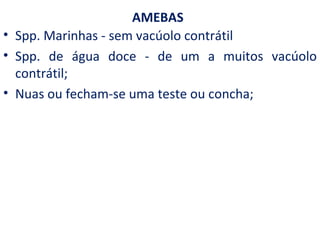 AMEBAS
• Spp. Marinhas - sem vacúolo contrátil
• Spp. de água doce - de um a muitos vacúolo
  contrátil;
• Nuas ou fecham-se uma teste ou concha;
 