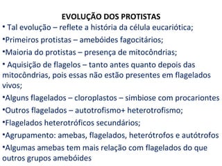 EVOLUÇÃO DOS PROTISTAS
• Tal evolução – reflete a história da célula eucariótica;
•Primeiros protistas – amebóides fagocitários;
•Maioria do protistas – presença de mitocôndrias;
• Aquisição de flagelos – tanto antes quanto depois das
mitocôndrias, pois essas não estão presentes em flagelados
vivos;
•Alguns flagelados – cloroplastos – simbiose com procariontes
•Outros flagelados – autotrofismo+ heterotrofismo;
•Flagelados heterotróficos secundários;
•Agrupamento: amebas, flagelados, heterótrofos e autótrofos
•Algumas amebas tem mais relação com flagelados do que
outros grupos amebóides
 