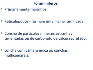 Foraminíferos:
• Primariamente marinhos

• Reticulópodos - formam uma malha ramificada;

• Concha de partículas minerais estranhas
  cimentadas ou de carbonato de cálcio secretado;

• concha com câmara única ou conchas
  multicamarais.
 