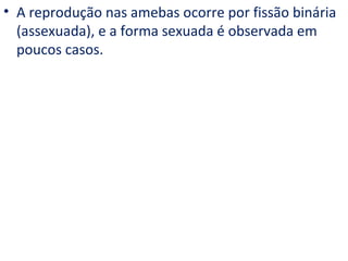 • A reprodução nas amebas ocorre por fissão binária
  (assexuada), e a forma sexuada é observada em
  poucos casos.
 