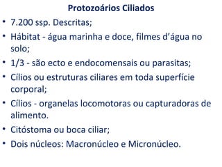 Protozoários Ciliados
•   7.200 ssp. Descritas;
•   Hábitat - água marinha e doce, filmes d’água no
    solo;
•   1/3 - são ecto e endocomensais ou parasitas;
•   Cílios ou estruturas ciliares em toda superfície
    corporal;
•   Cílios - organelas locomotoras ou capturadoras de
    alimento.
•   Citóstoma ou boca ciliar;
•   Dois núcleos: Macronúcleo e Micronúcleo.
 