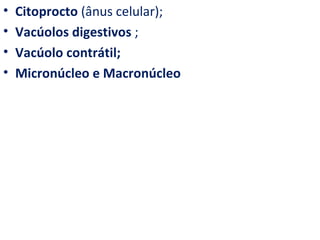 •   Citoprocto (ânus celular);
•   Vacúolos digestivos ;
•   Vacúolo contrátil;
•   Micronúcleo e Macronúcleo
 