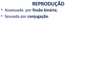 REPRODUÇÃO
• Assexuada por fissão binária;
• Sexuada por conjugação.
 