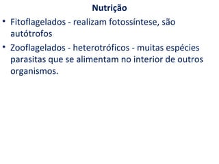 Nutrição
• Fitoflagelados - realizam fotossíntese, são
  autótrofos
• Zooflagelados - heterotróficos - muitas espécies
  parasitas que se alimentam no interior de outros
  organismos.
 
