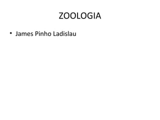 ZOOLOGIA
• James Pinho Ladislau
 