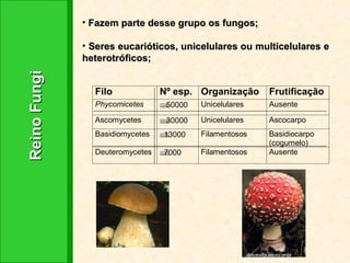 Reino Fungi  Fazem parte desse grupo os fungos; Seres eucarióticos, unicelulares ou multicelulares e heterotróficos; 