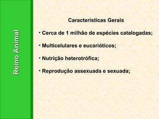 Reino Animal  Características Gerais Cerca de 1 milhão de espécies catalogadas; Multicelulares e eucarióticos; Nutrição heterotrófica; Reprodução assexuada e sexuada; 