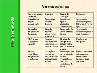 Filo Nematoda Vermes parasitas 