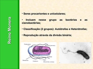 Reino Monera  Seres procariontes e unicelulares; Incluem nesse grupo as bactérias e as cianobactérias; Classificação (2 grupos): Autótrofas e Heterótrofas; Reprodução através da divisão binária; 