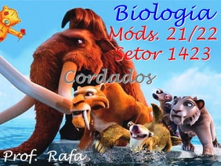 Biologia
Prof. Rafa
Móds. 21/22
Setor 1423
Cordados
 