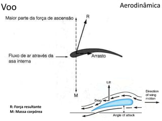 Voo Aerodinâmica
R: Força resultante
M: Massa corpórea
 