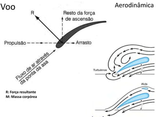 Voo Aerodinâmica
R: Força resultante
M: Massa corpórea
 