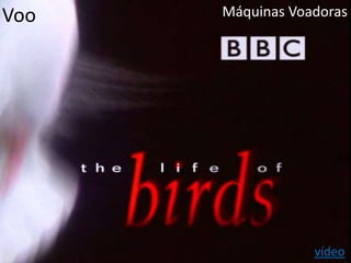 Voo Máquinas Voadoras
vídeo
 