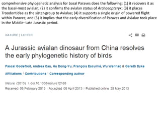comprehensive phylogenetic analysis for basal Paraves does the following: (1) it recovers it as
the basal-most avialan; (2) it confirms the avialan status of Archaeopteryx; (3) it places
Troodontidae as the sister-group to Avialae; (4) it supports a single origin of powered flight
within Paraves; and (5) it implies that the early diversification of Paraves and Avialae took place
in the Middle–Late Jurassic period.
 