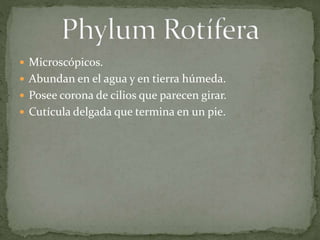 Microscópicos.
 Abundan en el agua y en tierra húmeda.
 Posee corona de cilios que parecen girar.
 Cutícula delgada que termina en un pie.
 