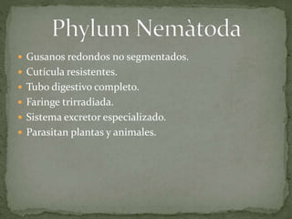  Gusanos redondos no segmentados.
 Cutícula resistentes.
 Tubo digestivo completo.
 Faringe trirradiada.
 Sistema excretor especializado.
 Parasitan plantas y animales.
 