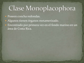  Poseen concha redondas.
 Algunos tienen órganos metamerizado.
 Encontrado por primera vez en el fondo marino en un
área de Costa Rica.
 