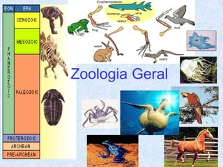 Zoologia Geral
 