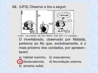 Zoologia geral aulas 1