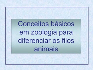 Conceitos básicos
em zoologia para
diferenciar os filos
      animais
 