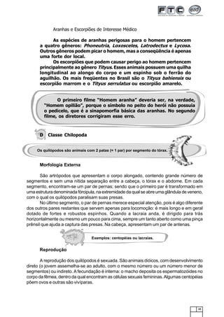 15
D Classe Chilopoda
Morfologia Externa
São artrópodos que apresentam o corpo alongado, contendo grande número de
segmentos e sem uma nítida separação entre a cabeça, o tórax e o abdome. Em cada
segmento, encontram-se um par de pernas; sendo que o primeiro par é transformado em
uma estrutura denominada fórcipula, na extremidade da qual se abre uma glândula de veneno,
com o qual os quilópodos paralisam suas presas.
No último segmento, o par de pernas merece especial atenção, pois é algo diferente
dos outros pares restantes que servem apenas para locomoção: é mais longo e em geral
dotado de fortes e robustos espinhos. Quando a lacraia anda, é dirigido para trás
horizontalmente ou mesmo um pouco para cima, sempre um tanto aberto como uma pinça
prênsil que ajuda a captura das presas. Na cabeça, apresentam um par de antenas.
Reprodução
A reprodução dos quilópodos é sexuada. São animais dióicos, com desenvolvimento
direto (o jovem assemelha-se ao adulto, com o mesmo número ou um número menor de
segmentos) ou indireto. A fecundação é interna: o macho deposita os espermatozóides no
corpo da fêmea, dentro da qual encontram as células sexuais femininas.Algumas centopéias
põem ovos e outras são vivíparas.
Aranhas e Escorpiões de Interesse Médico
As espécies de aranhas perigosas para o homem pertencem
a quatro gêneros: Phoneutria, Loxosceles, Latrodectus e Lycosa.
Outros gêneros podem picar o homem, mas a conseqüência é apenas
uma forte dor local.
Os escorpiões que podem causar perigo ao homem pertencem
principalmente ao gênero Tityus. Esses animais possuem uma quilha
longitudinal ao alongo do corpo e um espinho sob o ferrão do
aguilhão. Os mais freqüentes no Brasil são o Tityus bahiensis ou
escorpião marrom e o Tityus serrulatus ou escorpião amarelo.
O primeiro filme “Homem aranha” deveria ser, na verdade,
“Homem opilião”, porque o símbolo no peito do herói não possuía
o pedicelo, que é a sinapomorfia básica das aranhas. No segundo
filme, os diretores corrigiram esse erro.
Os quilópodos são animais com 2 patas (= 1 par) por segmento do tórax.
Exemplos: centopéias ou lacraias.
 