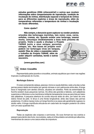 37
C Ordem Crocodilia
Representada pelos jacarés e crocodilos, animais aquáticos que vivem nas regiões
tropicais e subtropicais do mundo.
Morfologia Externa
O corpo compreende cabeça, pescoço, tronco e cauda distintos; cada uma das curtas
pernas possui dedos terminados por garras córneas e com palmouras entre eles. A longa
boca é marginada com dentes cônicos, situados em alvéolos. Perto da extremidade do
focinho existem duas pequenas narinas. Os olhos são grandes e laterais, com pálpebras
superiores e inferiores e uma membrana nictitante transparente move-se para trás por baixo
das pálpebras. A pequena abertura do ouvido situa-se atrás do olho, por baixo de uma
dobra móvel da pele. O ânus é uma fenda longitudinal, atrás das bases das pernas
posteriores. O crânio maciço inclui um longo focinho e os ossos são geralmente rugosos no
adulto velho. A longa mandíbula articula-se em cada lado da margem posterior do crânio
com um osso quadrado fixo.
Reprodução
Todas as espécies são ovíparas e carnívoras. Os ovos formam-se nos ovários e
passam para dentro dos funis; nos ovidutos, cada um é fecundado e envolvido por albumina,
membranas da casca e uma casca antes da ovipostura.
estudos genéticos (DNA mitocondrial) e outros que revelam
informações sobre comportamento de reprodução, condição de
incubação de ninhos, distribuição espacial e temporal de ninhos
para as diferentes espécies e áreas de reprodução, além de
comparativos referentes a temperatura de ninhos e incubação
em locais diferentes.
Como ajudar?
Não compre, e denuncie quem capturar ou vender produtos
oriundos das tartarugas marinhas, tais como: ovos, carne,
enfeites, cremes, etc. Quando avistar uma tartaruga, mesmo
morta, comunique imediatamente a base mais próxima do
projeto. Visite e ajude a divulgar o Projeto
TAMAR junto a seus amigos, parentes,
colegas, etc. Nas bases do projeto você
poderá ver tartarugas vivas em tanques,
assistir fitas de vídeo e exposições sobre
o trabalho do Projeto TAMAR, além de
poder adquirir camisetas, bonés e outros
souvenirs.
(www.geocities.com)
 