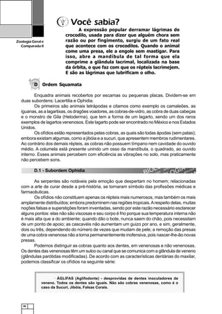 38
ZoologiaGerale
Comparada II
12345678901234567890123456789012123456789012345678901234567890121234567890123456789012345678901212345678901234567890123
12345678901234567890123456789012123456789012345678901234567890121234567890123456789012345678901212345678901234567890123
12345678901234567890123456789012123456789012345678901234567890121234567890123456789012345678901212345678901234567890123
12345678901234567890123456789012123456789012345678901234567890121234567890123456789012345678901212345678901234567890123
1234567890123456789012345678901212345678901234567890123456789012123456789012345678901234567890121234567890123456789012312345678901234567890123456789012123456789012345678901234567890121234567890123456789012345678901212345678901234567890123
12345678901234567890123456789012123456789012345678901234567890121234567890123456789012345678901212345678901234567890123
12345678901234567890123456789012123456789012345678901234567890121234567890123456789012345678901212345678901234567890123
12345678901234567890123456789012123456789012345678901234567890121234567890123456789012345678901212345678901234567890123
12345678901234567890123456789012123456789012345678901234567890121234567890123456789012345678901212345678901234567890123
12345678901234567890123456789012123456789012345678901234567890121234567890123456789012345678901212345678901234567890123
1234567890123456789012345678901212345678901234567890123456789012123456789012345678901234567890121234567890123456789012312345678901234567890123456789012123456789012345678901234567890121234567890123456789012345678901212345678901234567890123
1234567890123456789012345678901212345678901234567890123456789012123456789012345678901234567890121234567890123456789012312345678901234567890123456789012123456789012345678901234567890121234567890123456789012345678901212345678901234567890123
12345678901234567890123456789012123456789012345678901234567890121234567890123456789012345678901212345678901234567890123
12345678901234567890123456789012123456789012345678901234567890121234567890123456789012345678901212345678901234567890123
D Ordem Squamata
Enquadra animais recobertos por escamas ou pequenas placas. Dividem-se em
duas subordens: Lacertilia e Ophidia.
Os primeiros são animais tetrápodas e citamos como exemplo os camaleões, as
iguanas, as a lagartixas, os dragões voadores, as cobras-de-vidro, as cobra de duas cabeças
e o monstro de Gila (Heloderma), que tem a forma de um lagarto, sendo um dos raros
exemplos de lagartos venenosos. Este lagarto pode ser encontrado no México e nos Estados
Unidos.
Os ofídios estão representados pelas cobras, as quais são todas ápodas (sem patas);
embora existam algumas, como a jibóia e a sucuri, que apresentem membros rudimentares.
Ao contrário dos demais répteis, as cobras não possuem tímpano nem cavidade do ouvido
médio. A columela está presente unindo um osso da mandíbula, o quadrado, ao ouvido
interno. Esses animais percebem com eficiência as vibrações no solo, mas praticamente
não percebem sons.
D.1 - Subordem Ophidia
As serpentes são notáveis pela emoção que despertam no homem; relacionadas
com a arte de curar desde a pré-história, se tornaram símbolo das profissões médicas e
farmacêuticas.
Os ofídios não constituem apenas os répteis mais numerosos, mas também os mais
amplamente distribuídos; embora predominem nas regiões tropicais.Arespeito delas, muitas
noções falsas e superstições foram inventadas, sendo por este razão necessário esclarecer
alguns pontos: elas não são viscosas e seu corpo é frio porque sua temperatura interna não
é mais alta que a do ambiente; quando dão o bote, nunca saem do chão, pois necessitam
de um ponto de apoio; as cascavéis não aumentam um guizo por ano, e sim, geralmente,
dois ou três, dependendo do número de vezes que mudam de pele; a remoção das presas
de uma cobra venenosa não a torna permanentemente inofensiva, pois nascer-lhe-ão novas
presas.
Podemos distinguir as cobras quanto aos dentes, em venenosas e não venenosas.
Os dentes das venenosas têm um sulco ou canal que se comunica com a glândula de veneno
(glândulas parótidas modificadas). De acordo com as características dentárias do maxilar,
podemos classificar os ofídios na seguinte série:
· ÁGLIFAS (Aglifodonte) - desprovidas de dentes inoculadores de
veneno. Todos os dentes são iguais. Não são cobras venenosas, como é o
caso da Sucuri, Jibóia, Falsas Corais.
A expressão popular derramar lágrimas de
crocodilo, usada para dizer que alguém chora sem
razão ou por fingimento, surgiu de um fato real
que acontece com os crocodilos. Quando o animal
come uma presa, ele a engole sem mastigar. Para
isso, abre a mandíbula de tal forma que ela
comprime a glândula lacrimal, localizada na base
da órbita, o que faz com que os répteis lacrimejem.
E são as lágrimas que lubrificam o olho.
Você sabia?
 