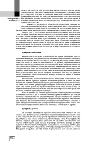 46
ZoologiaGerale
Comparada II
capazes até mesmo de subir em troncos de árvores totalmente verticais, sem ter
que se enrolar em volta dele. Estas serpentes usam as fendas e rachas do tronco
para conseguirem se firmar e se impulsionar. As serpentes conhecidas como Vine
Snakes são arborícolas e têm este nome por se parecerem muito com uma videira.
Elas são longas e finas e têm facilidade de andar pelos galhos das árvores. A
aparência deste animal serve como camuflagem, mas também é muito útil no seu
processo de locomoção.
Viver em um ambiente com muitas árvores requer grande habilidade em
calcular e estimar distâncias. Muitos lagartos e serpentes arborícolas possuem os
olhos direcionados para a frente, de tal maneira que ambos os olhos possam ser
focados para a frente, possibilitando uma melhor precisão no cálculo de uma distância.
Talvez a mais incomum adaptação de um réptil arborícola seja a habilidade de
“voar” ou “planar”. Um gênero de lagarto asiático (Draco), possui costelas estendidas, que
suportam o excesso de pele que existe nos flancos do animal, formando uma espécie de
asa. Caso sejam molestados, estes “lagartos voadores” irão fugir de sua árvore “voando”
por uma longa distância, ou para o chão, ou para outra árvore. Podemos encontrar também
na Ásia as chamadas “Flying Snakes” ou serpentes voadoras, do gênero Chrysopelea.
Ela costuma saltar das árvores e, aplainando seu corpo, pode “planar” e impedir sua
queda. Mas não existe nenhum réptil moderno que faça algo comparado ao vôo do extinto
Piterodáctilo.
c) Répteis Subterrâneos
Algumas das modificações que ocorreram nos répteis subterrâneos não são
verdadeiras adaptações, mas apenas perda de estruturas que não tinham mais uma função
biológica. Por exemplo, em um buraco escuro, onde a cabeça do animal está em contato
direto com o solo, os olhos não têm uma função útil, portanto, algumas serpentes e
lagartos subterrâneos possuem apenas olhos rudimentares.Afalta de membros é também
uma conseqüência comum da existência subterrânea. Embora os membros possam ser
úteis para escavar, sendo que muitos répteis terrestres usam seus membros para este
propósito, eles aumentam a fricção e fazem com que um animal que viva embaixo do solo
tenha que cavar muito mais do que não tendo os membros. Por isso, boa parte dos
répteis subterrâneos perdeu seus membros ao longo do tempo, ou tiveram os mesmos
drasticamente reduzidos.
Em contraste, outras características são adaptações à um estilo de vida
subterrâneo. Muitos lagartos e serpentes subterrâneas possuem os ossos do crânio
fundidos em uma estrutura sólida e compacta, preparada para suportar fortes impactos.
As cobras cegas (família Typhlopidae) possuem ponto afiado em suas caudas, que serve
como uma âncora, quando ela impulsiona seu corpo liso e polido através do solo. Os
amphisbaenídeos utilizam outra tática: eles possuem ranhuras por todo o corpo que ajudam
na tração, facilitando o processo de escavação.
A falta de membros nas serpentes é provavelmente uma herança de seus ancestrais
subterrâneos.Acredita-se que as serpentes vieram dos lagartos subterrâneos que possuem
membros e olhos reduzidos. Os olhos das serpentes não possuem estruturas presentes
na maioria dos vertebrados e parece terem sido desenvolvidos a partir de um rudimentar
olho de lagarto. As serpentes modernas jamais recuperaram os membros funcionais e,
como indicado anteriormente, esta condição conduziu a adaptação destes animais para
ambientes arbóreos a terrestres de maneira diferente da ocorrida com os lagartos.
d) Répteis Aquáticos
Os ancestrais terrestres dos répteis modernos impuseram limitações em suas
vidas na água. Sendo ovíparas, as fêmeas da maioria das espécies necessitavam ir para
a terra para postarem seus ovos; apenas algumas das serpentes marinhas dá a luz à
seus filhotes na água e nunca emergem voluntariamente para a terra.Arespiração é outro
limitante. Todos os répteis aquáticos precisam ir até a superfície periodicamente para
respirar, embora alguns sejam capazes de prolongar ao máximo o tempo que ficam
submersos. As serpentes marinhas podem ficar submersas por uma ou duas horas, pois
podem absorver oxigênio pela sua pele a um nível que as serpentes terrestres não podem.
Elas podem mergulhar a até 100 metros de profundidade sem nenhum problema,
 