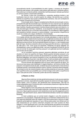 47
provavelmente devido à permeabilidade da pele à gases; o excesso de nitrogênio
absorvido pelo sangue, sob pressão, pode passar pela pele para o ambiente externo.
Para evitar que o ar saia do pulmão, a serpentes marinhas possuem válvulas que fecham
as narinas quando o animal está submerso.
As narinas e olhos dos crocodilianos e serpentes aquáticas tendem a ser
localizados mais em cima, na parte superior do cabeça. Isto permite que o animal,
estando na superfície, fique quase completamente submerso, mas com condições de
ver e respirar, enquanto se movimenta.
A locomoção dentro d’água é completamente diferente da locomoção na terra,
principalmente pelo fato da pressão que o animal faz com seu corpo ter que ser aplicada
contra a água e não contra uma superfície. Os répteis se adaptaram à esta condição de
duas maneiras. Aqueles que possuem membros desenvolveram pés como teias ou, no
caso das tartarugas marinhas, nadadeiras. Já as serpentes marinhas adaptaram suas
caudas, deixando-as com um formato mais achatado. Os crocodilianos e alguns lagartos
semi-aquáticos também possuem a cauda achatada, o que aumenta a superfície da
cauda em contato com a água, facilitando a movimentação.
O principal problema encontrado pelos répteis marinhos é a salinidade da água.
O rim destes animais não pode deparar com uma alta salinidade e a vida no mar só é
possível para alguns répteis devido à presença de uma glândula excretora de sal.Algumas
serpentes marinhas possuem uma de suas glândulas salivares modificadas em uma
glândula excretora de sal. Ela fica localizada debaixo da língua, e o sal é expelido pela
pele da língua. Quando a serpente coloca sua língua para fora da boca, o sal é levado
de volta para o mar. Outro grupo de serpentes, habitantes de águas salgadas (as
Homalopsines), possui uma glândula similar, mas que é localizada na frente do céu da
boca do animal. As tartarugas marinhas possuem uma glândula lacrimal modificada
que excreta sal dos olhos.
Já os crocodilos marinhos possuem pequenas glândulas excretoras de sal
situadas em baixo da superfície da língua. Muitas iguanas terrestres possuem uma
glândula nasal que excreta o excesso de sal presente em sua dieta. Aiguana marinha,
das Ilhas Galápagos, que costuma mergulhar no mar e se alimentar de algas, possuem
esta mesma glândula só que bem mais desenvolvida. O sal é excretado para a passagem
nasal e quando o animal está na terra ele espirra, eliminando assim o sal de seu corpo.
Poucos animais são adaptados para se mover sobre superfície da água. Um
dos poucos que possui esta habilidade é o lagarto Basilisco, da América Central. Eles
possuem uma espécie de aba de pele, na lateral dos pés da pata traseira. Esta estrutura
é dobrada quando o animal está andando na terra. Quando o animal se sente ameaçado,
ele começa a correr de maneira bípede e abra as abas presentes em seus pés, criando
uma superfície extra que possibilita que o animal consiga correr sobre a superfície da
água. Caso pare de correr, irá afundar, porém são exímios nadadores.
e) Répteis em Ilhas
Algumas ilhas oceânicas remotas geralmente possuem muito poucas espécies
de plantas e animais, especialmente aqueles capazes de sobreviver à longas viagens.
Certos répteis, como os geckos, são geralmente bem representados, pelo fato de
muitas adaptações terem contribuído para o animal estar presente em algumas ilhas e
conseguirem se estabilizar nelas.
Muitos lagartos vivem sob pedaços de madeiras flutuantes em algumas praias.
A madeira é levada pela maré até longas distâncias, carregando com ela lagartos ou
seus ovos.Alguns geckos possuem ovos resistentes ao sal, que são pegajosas quando
postados, mas após ficarem secos, aderem fortemente às fendas e rachas nas madeiras
flutuantes.
O maior problema que um animal recém chegado à uma ilha encontra é
estabelecer uma população.Adispersão pela água é um fenômeno relativamente raro e
uma segunda dispersão pode não chegar à uma ilha durante toda a vida de um réptil.
Espécies partenogênicas (aquelas em que a fêmea pode postar ovos férteis sem ter
sido inseminada por um macho) costumam prosperar com mais sucesso em ilhas
isoladas. É muito significante que a uma das características dos geckos encontrados
em ilhas seja a partenogênese, sendo que nessas ilhas existem poucos ou nenhum
macho.
 
