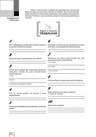 48
ZoologiaGerale
Comparada II
Talvez o réptil terrestre recordista em dispersão seja a Iguana das
Ilhas Fiji e algumas outras ilhas vizinhas, do Pacífico. Seus únicos parentes
estão naAmérica do Sul e Central. Certamente, seus ancestrais vieram através
do Oceano Pacífico e, uma vez isolados, desenvolveram-se nas espécies que
são hoje.
11111
Cite 3 adaptações sofridas pelos anfíbios durante a
conquista do ambiente terrestre.
_______________________________________________________________
______________________________________________________________________________________________________________________________
22222
Cite as principais características dos anfíbios:
_______________________________________________________________
______________________________________________________________________________________________________________________________
33333
Mostre que os répteis são vertebrados tipicamente
terrestres, através de suas características
relacionadas com:
a) Pele
_______________________________________________________________
b) Ovos
_______________________________________________________________
c) Controle da Temperatura Corpórea
_______________________________________________________________
44444
Cite os quatro grupos de répteis e seus
representantes.
_______________________________________________________________
______________________________________________________________________________________________________________________________
55555
Caracterize morfológica e funcionalmente o ouvido das
cobras.
_______________________________________________________________
______________________________________________________________________________________________________________________________
[[[[[ ]]]]]Agora é hora de
TRABALHAR
66666
Classifique as cobras quanto à presença de dentes,
de veneno e dê exemplos dos diferentes tipos.
_______________________________________________________________
______________________________________________________________________________________________________________________________
77777
Diferencie as cobras peçonhentas das não-
peçonhentas pelas características:
a) da cabeça:
_____________________________________________________________________________________________________________________________
b) da cauda:
______________________________________________________________________________________________________________________________
c) das escamas:
______________________________________________________________________________________________________________________________
88888
Faça uma lista de cobras peçonhentas brasileiras
_______________________________________________________________
______________________________________________________________________________________________________________________________
99999
Sobre acidentes com cobras, relacione:
a) medidas de prevenção:
_______________________________________________________________
______________________________________________________________________________________________________________________________
1111100000
Onde vivem os répteis?
_______________________________________________________________
______________________________________________________________________________________________________________________________
______________________________________________________________________________________________________________________________
 