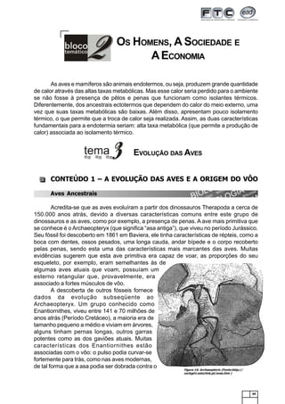 49
Figura 14: Archaeopterix (Fonte:http://
curlygirl.naturlink.pt/aves.htm )
OS HOMENS, A SOCIEDADE E
AECONOMIA
CONTEÚDO 1 – A EVOLUÇÃO DAS AVES E A ORIGEM DO VÔO
Aves Ancestrais
Acredita-se que as aves evoluíram a partir dos dinossauros Therapoda a cerca de
150.000 anos atrás, devido a diversas características comuns entre este grupo de
dinossauros e as aves, como por exemplo, a presença de penas. A ave mais primitiva que
se conhece é o Archaeopteryx (que significa “asa antiga”), que viveu no período Jurássico.
Seu fóssil foi descoberto em 1861 em Baviera, ele tinha características de répteis, como a
boca com dentes, ossos pesados, uma longa cauda, andar bípede e o corpo recoberto
pelas penas, sendo esta uma das características mais marcantes das aves. Muitas
evidências sugerem que esta ave primitiva era capaz de voar, as proporções do seu
esqueleto, por exemplo, eram semelhantes às de
algumas aves atuais que voam, possuíam um
esterno retangular que, provavelmente, era
associado a fortes músculos de vôo.
A descoberta de outros fósseis fornece
dados da evolução subseqüente ao
Archaeopteryx. Um grupo conhecido como
Enantiornithes, viveu entre 141 e 70 milhões de
anos atrás (Período Cretáceo), a maioria era de
tamanho pequeno a médio e viviam em árvores,
alguns tinham pernas longas, outros garras
potentes como as dos gaviões atuais. Muitas
características dos Enantiornithes estão
associadas com o vôo: o pulso podia curvar-se
fortemente para trás, como nas aves modernas,
de tal forma que a asa podia ser dobrada contra o
EVOLUÇÃO DAS AVES
As aves e mamíferos são animais endotermos, ou seja, produzem grande quantidade
de calor através das altas taxas metabólicas. Mas esse calor seria perdido para o ambiente
se não fosse à presença de pêlos e penas que funcionam como isolantes térmicos.
Diferentemente, dos ancestrais ectotermos que dependem do calor do meio externo, uma
vez que suas taxas metabólicas são baixas. Além disso, apresentam pouco isolamento
térmico, o que permite que a troca de calor seja realizada. Assim, as duas características
fundamentais para a endotermia seriam: alta taxa metabólica (que permite a produção de
calor) associada ao isolamento térmico.
 