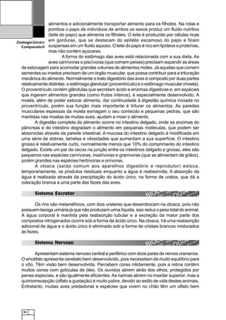 56
ZoologiaGerale
Comparada II
alimentos e adicionalmente transportar alimento para os filhotes. Na rolas e
pombos o papo de indivíduos de ambos os sexos produz um fluido nutritivo
(leite do papo) que alimenta os filhotes. O leite é produzido por células ricas
em gorduras, que se destacam do epitélio escamoso do papo e ficam
suspensas em um fluido aquoso. O leite do papo é rico em lipídeos e proteínas,
mas não contém açúcares.
A forma do estômago das aves está relacionada com a sua dieta. As
aves carnívoras e piscívoras (que comem peixes) precisam expandir as áreas
de estocagem para acomodar grandes volumes de alimentos moles. Já aquelas que comem
sementes ou insetos precisam de um órgão muscular, que possa contribuir para a trituração
mecânica do alimento. Normalmente o trato digestório das aves é composto por duas partes
relativamente distintas: o estômago glandular (proventrículo) e o estômago muscular (moela).
O proventrículo contém glândulas que secretam ácido e enzimas digestivas e, em espécies
que ingerem alimentos grandes (como frutos inteiros), é especialmente desenvolvido. A
moela, além de poder estocar alimento, dar continuidade à digestão química iniciada no
proventrículo, porém sua função mais importante é triturar os alimentos. As paredes
musculares espessas da moela esmagam o seu conteúdo e pequenas pedras, que são
mantidas nas moelas de muitas aves, ajudam a moer o alimento.
A digestão completa do alimento ocorre no intestino delgado, onde as enzimas do
pâncreas e do intestino degradam o alimento em pequenas moléculas, que podem ser
absorvidas através da parede intestinal. A mucosa do intestino delgado é modificada em
uma série de dobras, lamelas e vilosidades que aumentam a sua superfície. O intestino
grosso é relativamente curto, normalmente menos que 10% do comprimento do intestino
delgado. Existe um par de cecos na junção entre os intestinos delgado e grosso, eles são
pequenos nas espécies carnívoras, insetívoras e granívoras (que se alimentam de grãos),
porém grandes nas espécies herbívoras e onívoras.
A cloaca (saída comum aos aparelhos digestório e reprodutor) estoca,
temporariamente, os produtos residuais enquanto a água é reabsorvida. A absorção da
água é realizada através da precipitação do ácido úrico, na forma de uratos, que dá a
coloração branca a uma parte das fezes das aves.
Sistema Excretor
Os rins são metanéfricos, com dois ureteres que desembocam na cloaca, pois não
possuem bexiga urinária já que não produzem urina líquida, isso reduz o peso total do animal.
A água corporal é mantida pela reabsorção tubular e a excreção da maior parte dos
compostos nitrogenados ocorre sob a forma de ácido úrico. Na cloaca, há uma reabsorção
adicional de água e o ácido úrico é eliminado sob a forma de cristais brancos misturados
às fezes.
Sistema Nervoso
Apresentam sistema nervoso central e periférico com doze pares de nervos cranianos.
O encéfalo apresenta cerebelo bem desenvolvido, pois necessitam de muito equilíbrio para
o vôo. Têm visão bem desenvolvida. Percebem cores nitidamente, pois a retina contém
muitos cones com gotículas de óleo. Os ouvidos abrem atrás dos olhos, protegidos por
penas especiais, e são igualmente eficientes. As narinas abrem no maxilar superior, mas a
quimiorrecepção (olfato e gustação) é muito pobre, devido ao estilo de vida destes animais.
Entretanto, muitas aves predadoras e espécies que vivem no chão têm um olfato bem
 