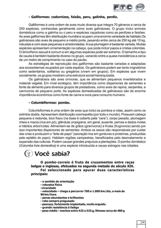 63
- Galiformes: codornizes, faisão, peru, galinha, perdiz.
Galliformes é uma ordem de aves muito diversa que integra 70 gêneros e cerca de
250 espécies, conhecidas geralmente como aves galináceas. O grupo inclui animais
domésticos como a galinha ou o peru e espécies caçadoras como as perdizes e faisões.
As aves galiformes têm distribuição mundial e ocupam uma enorme variedade de habitats.Os
galináceos são aves de pequeno a médio porte, pesando entre cerca de 250 kg até 10 kg,
robustas e com asas pequenas e arredondadas.Asua plumagem é bastante variada. Muitas
espécies apresentam ornamentação na cabeça, que pode incluir papos e cristas coloridas.
O dimorfismo sexual é comum e em algumas espécies pode ser extremo. O tamanho e tipo
de cauda é também bastante diverso no grupo, variando entre a quase inexistência a cerca
de um metro de comprimento no caso do pavão.
As estratégias de reprodução dos galiformes são bastante variadas e adaptadas
aos ecossistemas ocupados por cada espécie. Os galináceos podem ser tanto migratórios
como sedentários, solitários ou gregários (vivem em grupos). Em espécies que vivem
socialmente, os grupos mostram uma estrutura social hierarquizada.
Os galináceos são aves onívoras, que se alimentam pequenos invertebrados e
material vegetal. Em nível ecológico, têm importância como dispersores de sementes e
fonte de alimento para diversos grupos de predadores, como aves de rapina, serpentes, e
carnívoros de pequeno porte. As espécies domesticadas de galináceos são de enorme
importância econômica como fonte de carne e ovos para consumo humano.
- Columbiformes: pombo.
Columbiformes é uma ordem de aves que inclui os pombos e rolas, assim como os
extintos dodós.Apresentam distribuição cosmopolita (por todo o mundo). Possuem cabeça
pequena e redonda, bico fraco (na base é coberto pela “cera”), corpo pesado, plumagem
cheia e macia (rica em pó), glândula uropigiana, em geral, ausente, pernas e dedos moles
e hábitos arborícolas. Alimentam-se de grãos (granívoros) e frutas (frugívoros) sendo por
isso importantes dispersores de sementes. Ambos os sexos são responsáveis por cuidar
das crias e produzem o “leite de papo” (secreção rica em gorduras e proteínas, produzidas
pelo epitélio do papo). Habitam regiões campestres, beneficiados pelo desmatamento e
expansão das culturas. Podem causar grandes prejuízos a plantações. O pombo doméstico
(Columba livia domestica) é uma espécie introduzida e causa estragos nas cidades.
O pombo-correio é fruto de cruzamentos entre raças
belgas e inglesas, efetuados na segunda metade do século XIX.
Foi seleccionado para apurar duas características
principais:
- o sentido de orientação
- robustez física
-vivacidade
- velocidade – chega a percorrer 700 a 1.000 km/dia, a mais de
90 km/hora.
- penas abundantes e brilhantes
- rabo sempre pregueado
- pescoço, fortemente implantado, muito erguido.
- grande resistência à fadiga
- peso médio - machos entre 425 e 525 g, fêmeas cerca de 480 g
Você sabia?
 