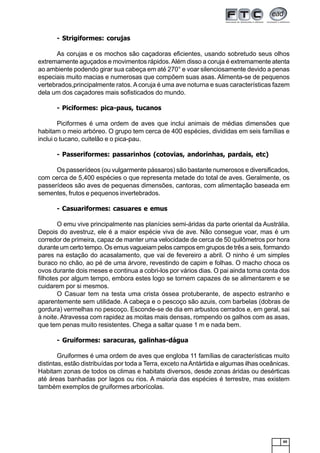 65
- Strigiformes: corujas
As corujas e os mochos são caçadoras eficientes, usando sobretudo seus olhos
extremamente aguçados e movimentos rápidos.Além disso a coruja é extremamente atenta
ao ambiente podendo girar sua cabeça em até 270° e voar silenciosamente devido a penas
especiais muito macias e numerosas que compõem suas asas. Alimenta-se de pequenos
vertebrados,principalmente ratos. Acoruja é uma ave noturna e suas características fazem
dela um dos caçadores mais sofisticados do mundo.
- Piciformes: pica-paus, tucanos
Piciformes é uma ordem de aves que inclui animais de médias dimensões que
habitam o meio arbóreo. O grupo tem cerca de 400 espécies, divididas em seis famílias e
inclui o tucano, cuitelão e o pica-pau.
- Passeriformes: passarinhos (cotovias, andorinhas, pardais, etc)
Os passerídeos (ou vulgarmente pássaros) são bastante numerosos e diversificados,
com cerca de 5,400 espécies o que representa metade do total de aves. Geralmente, os
passerídeos são aves de pequenas dimensões, cantoras, com alimentação baseada em
sementes, frutos e pequenos invertebrados.
- Casuariformes: casuares e emus
O emu vive principalmente nas planícies semi-áridas da parte oriental da Austrália.
Depois do avestruz, ele é a maior espécie viva de ave. Não consegue voar, mas é um
corredor de primeira, capaz de manter uma velocidade de cerca de 50 quilômetros por hora
durante um certo tempo. Os emus vagueiam pelos campos em grupos de três a seis, formando
pares na estação do acasalamento, que vai de fevereiro a abril. O ninho é um simples
buraco no chão, ao pé de uma árvore, revestindo de capim e folhas. O macho choca os
ovos durante dois meses e continua a cobri-los por vários dias. O pai ainda toma conta dos
filhotes por algum tempo, embora estes logo se tornem capazes de se alimentarem e se
cuidarem por si mesmos.
O Casuar tem na testa uma crista óssea protuberante, de aspecto estranho e
aparentemente sem utilidade. A cabeça e o pescoço são azuis, com barbelas (dobras de
gordura) vermelhas no pescoço. Esconde-se de dia em arbustos cerrados e, em geral, sai
à noite. Atravessa com rapidez as moitas mais densas, rompendo os galhos com as asas,
que tem penas muito resistentes. Chega a saltar quase 1 m e nada bem.
- Gruiformes: saracuras, galinhas-dágua
Gruiformes é uma ordem de aves que engloba 11 famílias de características muito
distintas, estão distribuídas por toda a Terra, exceto naAntártida e algumas ilhas oceânicas.
Habitam zonas de todos os climas e habitats diversos, desde zonas áridas ou desérticas
até áreas banhadas por lagos ou rios. A maioria das espécies é terrestre, mas existem
também exemplos de gruiformes arborícolas.
 