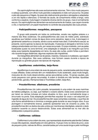 67
Os caprimulgiformes são aves exclusivamente noturnas. Têm o bico muito pequeno
e cabeça quadrada, com olhos muito grandes e adaptados à visão com pouca luz.As patas
e pés são pequenos e frágeis.As asas são relativamente grandes e alongadas e adaptadas
a um vôo rápido e silencioso. O formato da cauda, de comprimento médio a longo, varia
conforme a espécie. A plumagem é bastante diversa dentro do grupo, mas é normalmente
escura. Os caprimulgiformes alimentam-se exclusivamente de insetos, que caçam durante
o vôo, e representam um papel importante no controle das populações das suas presas.
- Podicipediformes: mergulhões, pescaparas
O grupo está presente em todos os continentes, exceto nas regiões polares e a
maioria das ilhas oceânicas. Os podicipediformes são aves de médio porte, sobretudo
aquáticas que habitam zonas de água doce como estuários, lagos e rios. A plumagem é
geralmente castanha ou cinzenta, sendo a zona ventral mais clara. O dimorfismo sexual, se
presente, ocorre apenas na época de reprodução. O pescoço é alongado e termina numa
cabeça arredondada com bico curto, por vezes encurvado. O corpo é estreito, com as patas
localizadas quase na zona terminal, uma adaptação à natação e ao mergulho que torna
estas aves bastante desajeitadas em terra. As asas são curtas, porém fortes e permitem
vôo durante longas distâncias; algumas espécies são migratórias.
Os mergulhões alimentam-se de peixes, insectos, moluscos e crustáceos, que caçam
durante os mergulhos. São aves solitárias, mas formam casais durante a época de
reprodução ou grandes grupos nas épocas de migração.
- Apodiformes: andorinhões, beija-flores
Apodiformes é uma ordem de aves de pequeno porte, caracterizadas pelo bico longo
e asas afiladas. Estes animais têm um metabolismo muito acelerado, asas muito longas,
músculos de vôo muito desenvolvidos, penas secundárias curtas, 10 penas caudais, pés
muito pequenos com garras recurvadas. A ordem é dividida em três famílias: Apodidae
(andorinhão, gaivão), Hemiprocnidae e Trochilidae (colibri, beija-flor).
- Procelariiformes: albatrozes, procelárias
Procellariiformes (do Latim procella, tempestade) é uma ordem de aves marinhas
de hábitos pelágicos, ou seja, que habitam o oceano aberto. Estas aves caracterizam-se
por terem as narinas inclusas em tubos situados no bico, que é normalmente longo e
encurvado na ponta. Esta adaptação permite-lhes expulsar do corpo o sal adquirido por
ingestão de água do mar. Os procelariformes têm asas compridas e estreitas, o que lhes dá
uma forma aerodinâmica e minimiza a energia gasta durante os seus longos vôos. A sua
plumagem é normalmente branca, podendo apresentar tons de cinzento ou preto. Os
procelariformes têm os dedos dos pés unidos por membranas interdigitais, estando o dedo
posterior ausente ou pouco desenvolvido. Estas aves alimentam-se no mar alto de
cefalópodes e pequenos peixes.
- Coliiformes: coliídeos
Coliiformes é uma ordem de aves, que representada atualmente pela família Coliidae
e suas três espécies, classifcadas em dois gêneros. O grupo inclui os rabos de junco, aves
de pequeno porte, nativas de África, caracterizadas por uma cauda longa e pela morfologia
 