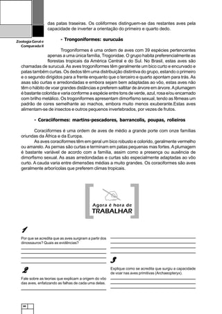 68
ZoologiaGerale
Comparada II
11111
Por que se acredita que as aves surgiram a partir dos
dinossauros? Quais as evidências?
_______________________________________________________________
______________________________________________________________________________________________________________________________
______________________________________________________________________________________________________________________________
_______________________________________________________________
22222
Fale sobre as teorias que explicam a origem do vôo
das aves, enfatizando as falhas de cada uma delas.
______________________________________________________________________________________________________________________________
das patas traseiras. Os coliiformes distinguem-se das restantes aves pela
capacidade de inverter a orientação do primeiro e quarto dedo.
- Trongoniformes: surucuás
Trogoniformes é uma ordem de aves com 39 espécies pertencentes
apenas a uma única família, Trogonidae. O grupo habita preferencialmente as
florestas tropicais da América Central e do Sul. No Brasil, estas aves são
chamadas de surucuá.As aves trogoniformes têm geralmente um bico curto e encurvado e
patas também curtas. Os dedos têm uma distribuição distintiva do grupo, estando o primeiro
e o segundo dirigidos para a frente enquanto que o terceiro e quarto apontam para trás. As
asas são curtas e arredondadas e embora sejam bem adaptadas ao vôo, estas aves não
têm o hábito de voar grandes distâncias e preferem saltitar de árvore em árvore.Aplumagem
é bastante colorida e varia conforme a espécie entre tons de verde, azul, rosa e/ou encarnado
com brilho metálico. Os trogoniformes apresentam dimorfismo sexual, tendo as fêmeas um
padrão de cores semelhante ao machos, embora muito menos exuberante.Estas aves
alimentam-se de insectos e outros pequenos invertebrados, por vezes de frutos.
- Coraciiformes: martins-pescadores, barrancolis, poupas, rolieiros
Coraciiformes é uma ordem de aves de médio a grande porte com onze famílias
oriundas da África e da Europa.
As aves coraciformes têm em geral um bico robusto e colorido, geralmente vermelho
ou amarelo. As pernas são curtas e terminam em patas pequenas mas fortes. Aplumagem
é bastante variável de acordo com a família, assim como a presença ou ausência de
dimorfismo sexual. As asas arredondadas e curtas são especialmente adaptadas ao vôo
curto. A cauda varia entre dimensões médias a muito grandes. Os coraciformes são aves
geralmente arborícolas que preferem climas tropicais.
[[[[[ ]]]]]Agora é hora de
TRABALHAR
______________________________________________________________________________________________________________________________
_______________________________________________________________
______________________________________________________________________________________________________________________________
_______________________________________________________________
33333
Explique como se acredita que surgiu a capacidade
de voar nas aves primitivas (Archaeopteryx).
_______________________________________________________________
______________________________________________________________________________________________________________________________
______________________________________________________________________________________________________________________________
 