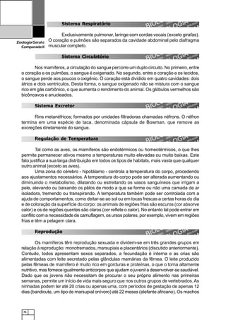 74
ZoologiaGerale
Comparada II
Sistema Respiratório
Exclusivamente pulmonar, laringe com cordas vocais (exceto girafas).
O coração e pulmões são separados da cavidade abdominal pelo diafragma
muscular completo.
Sistema Circulatório
Nos mamíferos, a circulação do sangue percorre um duplo circuito. No primeiro, entre
o coração e os pulmões, o sangue é oxigenado. No segundo, entre o coração e os tecidos,
o sangue perde aos poucos o oxigênio. O coração está dividido em quatro cavidades: dois
átrios e dois ventrículos. Desta forma, o sangue oxigenado não se mistura com o sangue
rico em gás carbônico, o que aumenta o rendimento do animal. Os glóbulos vermelhos são
bicôncavos e anucleados.
Sistema Excretor
Rins metanéfricos; formados por unidades filtradoras chamadas néfrons. O néfron
termina em uma espécie de taca, denominada cápsula de Bowman, que remove as
excreções diretamente do sangue.
Regulação de Temperatura
Tal como as aves, os mamíferos são endotérmicos ou homeotérmicos, o que lhes
permite permanecer ativos mesmo a temperaturas muito elevadas ou muito baixas. Este
fato justifica a sua larga distribuição em todos os tipos de habitats, mais vasta que qualquer
outro animal (exceto as aves).
Uma zona do cérebro - hipotálamo - controla a temperatura do corpo, procedendo
aos ajustamentos necessários. A temperatura do corpo pode ser alterada aumentando ou
diminuindo o metabolismo, dilatando ou estreitando os vasos sanguíneos que irrigam a
pele, elevando ou baixando os pêlos de modo a que se forme ou não uma camada de ar
isoladora, tremendo ou transpirando. A temperatura também pode ser controlada com a
ajuda de comportamentos, como deitar-se ao sol ou em tocas frescas a certas horas do dia
e de coloração da superfície do corpo: os animais de regiões frias são escuros (cor absorve
calor) e os de regiões quentes são claros (cor reflete o calor). No entanto tal pode entrar em
conflito com a necessidade de camuflagem, os ursos polares, por exemplo, vivem em regiões
frias e têm a pelagem clara.
Reprodução
Os mamíferos têm reprodução sexuada e dividem-se em três grandes grupos em
relação à reprodução: monotremados, marsupiais e placentários (discutido anteriormente).
Contudo, todos apresentam sexos separados, a fecundação é interna e as crias são
alimentadas com leite secretado pelas glândulas mamárias da fêmea. O leite produzido
pelas fêmeas de mamífero é muito rico em gorduras e proteínas, o que o torna altamente
nutritivo, mas fornece igualmente anticorpos que ajudam o juvenil a desenvolver-se saudável.
Dado que os jovens não necessitam de procurar o seu próprio alimento nas primeiras
semanas, permite um início de vida mais seguro que nos outros grupos de vertebrados. As
ninhadas podem ter até 20 crias ou apenas uma, com períodos de gestação de apenas 12
dias (bandicute, um tipo de marsupial onívoro) até 22 meses (elefante africano). Os machos
 