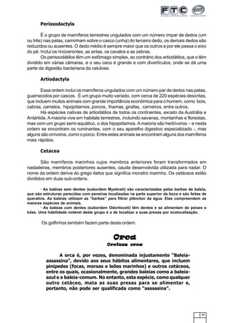77
Perissodactyla
É o grupo de mamíferos terrestres ungulados com um número ímpar de dedos (um
ou três) nas patas, caminham sobre o casco (unha) do terceiro dedo, os demais dedos são
reduzidos ou ausentes. O dedo médio é sempre maior que os outros e por ele passa o eixo
do pé. Inclui os rinocerontes, as antas, os cavalos e as zebras.
Os perissodátilos têm um estômago simples, ao contrário dos artiodátilos, que o têm
dividido em várias câmaras, e o seu ceco é grande e com divertículos, onde se dá uma
parte da digestão bacteriana da celulose.
Artiodactyla
Essa ordem inclui os mamíferos ungulados com um número par de dedos nas patas,
guarnecidos por cascos. É um grupo muito variado, com cerca de 220 espécies descritas,
que incluem muitos animais com grande importância econômica para o homem, como bois,
cabras, camelos, hipopótamos, porcos, lhamas, girafas, carneiros, entre outros.
Há espécies nativas de artiodátilos de todos os continentes, exceto da Austrália e
Antártida. A maioria vive em habitats terrestres, incluindo savanas, montanhas e florestas,
mas com um grupo semi-aquático, o dos hipopótamos. A maioria são herbívoros – e nesta
ordem se encontram os ruminantes, com o seu aparelho digestivo especializado -, mas
alguns são onívoros, como o porco. Entre estes animais se encontram alguns dos mamíferos
mais rápidos.
Cetacea
São mamíferos marinhos cujos membros anteriores foram transformados em
nadadeiras, membros posteriores ausentes, cauda desenvolvida utilizada para nadar. O
nome da ordem deriva do grego ketos que significa monstro marinho. Os cetáceos estão
divididos em duas sub-ordens:
· As baleias sem dentes (subordem Mysticeti) são caracterizadas pelas barbas de baleia,
que são estruturas parecidas com peneiras localizadas na parte superior da boca e são feitas de
queratina. As baleias utilizam as “barbas” para filtrar plâncton da água. Elas compreendem as
maiores espécies de animais.
· As baleias com dentes (subordem Odontoceti) têm dentes e se alimentam de peixes e
lulas. Uma habilidade notável deste grupo é a de localizar a suas presas por ecolocalização.
Os golfinhos também fazem parte desta ordem.
OrcaOrcaOrcaOrcaOrca
Orcinus orcaOrcinus orcaOrcinus orcaOrcinus orcaOrcinus orca
A orca é, por vezes, denominada injustamente “Baleia-
assassina”, devido aos seus hábitos alimentares, que incluem
pinípedes (focas, morsas e leões marinhos) e outros cetáceos,
entre os quais, ocasionalmente, grandes baleias como a baleia-
azul e a baleia-comum. No entanto, esta espécie, como qualquer
outro cetáceo, mata as suas presas para se alimentar e,
portanto, não pode ser qualificada como “assassina”.
 