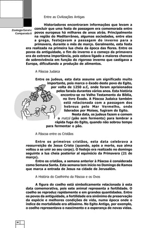 80
ZoologiaGerale
Comparada II
Entre as Civilizações Antigas
Historiadores encontraram informações que levam a
concluir que uma festa de passagem era comemorada entre
povos europeus há milhares de anos atrás. Principalmente
na região do Mediterrâneo, algumas sociedades, entre elas
a grega, festejavam a passagem do inverno para a
primavera, durante o mês de março. Geralmente, esta festa
era realizada na primeira lua cheia da época das flores. Entre os
povos da antiguidade, o fim do inverno e o começo da primavera
era de extrema importância, pois estava ligado a maiores chances
de sobrevivência em função do rigoroso inverno que castigava a
Europa, dificultando a produção de alimentos.
A Páscoa Judaica
Entre os judeus, esta data assume um significado muito
importante, pois marca o êxodo deste povo do Egito,
por volta de 1250 a.C, onde foram aprisionados
pelos faraós durantes vários anos. Esta história
encontra-se no Velho Testamento da Bíblia,
no livro Êxodo. A Páscoa Judaica também
está relacionada com a passagem dos
hebreus pelo Mar Vermelho, onde
liderados por Moises, fugiram do Egito.
Nesta data, os judeus fazem e comem
o matzá (pão sem fermento) para lembrar a
rápida fuga do Egito, quando não sobrou tempo
para fermentar o pão.
A Páscoa entre os Cristãos
Entre os primeiros cristãos, esta data celebrava a
ressurreição de Jesus Cristo (quando, após a morte, sua alma
voltou a se unir ao seu corpo). O festejo era realizado no domingo
seguinte a lua cheia posterior al equinócio da Primavera (21 de
março).
Entre os cristãos, a semana anterior à Páscoa é considerada
como Semana Santa. Esta semana tem início no Domingo de Ramos
que marca a entrada de Jesus na cidade de Jerusalém.
A História do Coelhinho da Páscoa e os Ovos
A figura do coelho está simbolicamente relacionada à esta
data comemorativa, pois este animal representa a fertilidade. O
coelho se reproduz rapidamente e em grandes quantidades. Entre
os povos da antiguidade, a fertilidade era sinônimo de preservação
da espécie e melhores condições de vida, numa época onde o
índice de mortalidade era altíssimo. No Egito Antigo, por exemplo,
o coelho representava o nascimento e a esperança de novas vidas.
 