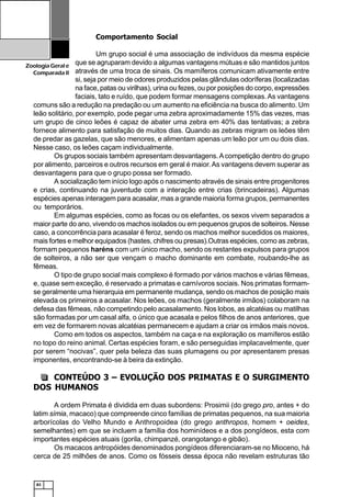 82
ZoologiaGerale
Comparada II
Comportamento Social
Um grupo social é uma associação de indivíduos da mesma espécie
que se agruparam devido a algumas vantagens mútuas e são mantidos juntos
através de uma troca de sinais. Os mamíferos comunicam ativamente entre
si, seja por meio de odores produzidos pelas glândulas odoríferas (localizadas
na face, patas ou virilhas), urina ou fezes, ou por posições do corpo, expressões
faciais, tato e ruído, que podem formar mensagens complexas.As vantagens
comuns são a redução na predação ou um aumento na eficiência na busca do alimento. Um
leão solitário, por exemplo, pode pegar uma zebra aproximadamente 15% das vezes, mas
um grupo de cinco leões é capaz de abater uma zebra em 40% das tentativas; a zebra
fornece alimento para satisfação de muitos dias. Quando as zebras migram os leões têm
de predar as gazelas, que são menores, e alimentam apenas um leão por um ou dois dias.
Nesse caso, os leões caçam individualmente.
Os grupos sociais também apresentam desvantagens.Acompetição dentro do grupo
por alimento, parceiros e outros recursos em geral é maior.As vantagens devem superar as
desvantagens para que o grupo possa ser formado.
A socialização tem início logo após o nascimento através de sinais entre progenitores
e crias, continuando na juventude com a interação entre crias (brincadeiras). Algumas
espécies apenas interagem para acasalar, mas a grande maioria forma grupos, permanentes
ou temporários.
Em algumas espécies, como as focas ou os elefantes, os sexos vivem separados a
maior parte do ano, vivendo os machos isolados ou em pequenos grupos de solteiros. Nesse
caso, a concorrência para acasalar é feroz, sendo os machos melhor sucedidos os maiores,
mais fortes e melhor equipados (hastes, chifres ou presas).Outras espécies, como as zebras,
formam pequenos haréns com um único macho, sendo os restantes expulsos para grupos
de solteiros, a não ser que vençam o macho dominante em combate, roubando-lhe as
fêmeas.
O tipo de grupo social mais complexo é formado por vários machos e várias fêmeas,
e, quase sem exceção, é reservado a primatas e carnívoros sociais. Nos primatas formam-
se geralmente uma hierarquia em permanente mudança, sendo os machos de posição mais
elevada os primeiros a acasalar. Nos leões, os machos (geralmente irmãos) colaboram na
defesa das fêmeas, não competindo pelo acasalamento. Nos lobos, as alcatéias ou matilhas
são formadas por um casal alfa, o único que acasala e pelos filhos de anos anteriores, que
em vez de formarem novas alcatéias permanecem e ajudam a criar os irmãos mais novos.
Como em todos os aspectos, também na caça e na exploração os mamíferos estão
no topo do reino animal. Certas espécies foram, e são perseguidas implacavelmente, quer
por serem “nocivas”, quer pela beleza das suas plumagens ou por apresentarem presas
imponentes, encontrando-se à beira da extinção.
CONTEÚDO 3 – EVOLUÇÃO DOS PRIMATAS E O SURGIMENTO
DOS HUMANOS
A ordem Primata é dividida em duas subordens: Prosimii (do grego pro, antes + do
latim símia, macaco) que compreende cinco famílias de primatas pequenos, na sua maioria
arborícolas do Velho Mundo e Anthropoidea (do grego anthropos, homem + oeides,
semelhantes) em que se incluem a família dos hominídeos e a dos pongídeos, esta com
importantes espécies atuais (gorila, chimpanzé, orangotango e gibão).
Os macacos antropóides denominados pongídeos diferenciaram-se no Mioceno, há
cerca de 25 milhões de anos. Como os fósseis dessa época não revelam estruturas tão
 